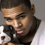 Chris Brown has a dog breeding sideline