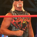 Hulk Hogan sues best friend and Gawker over sex tape
